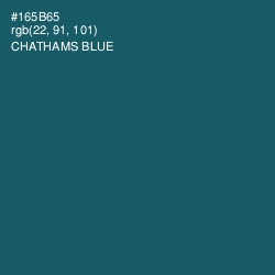 #165B65 - Chathams Blue Color Image
